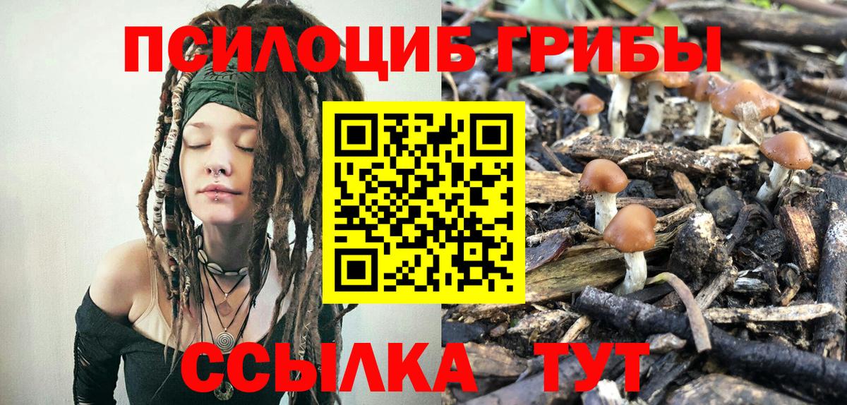 Галлюциногенные грибы MAGIC MUSHROOMS Осинники