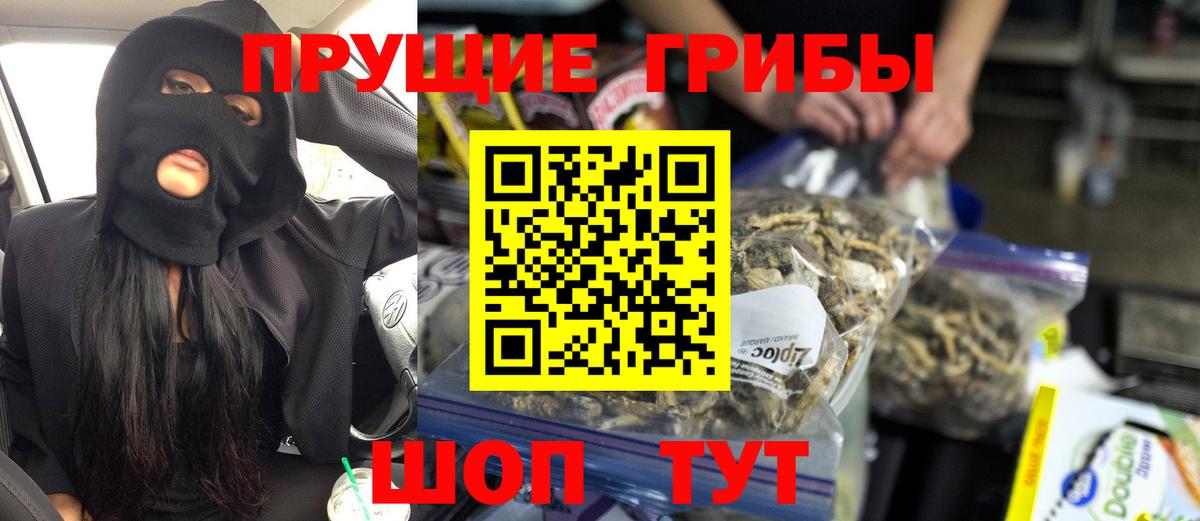 купить   Вход с VPN  Осинники  Галлюциногенные грибы Cubensis  Псилоцибиновые грибы мицелий 